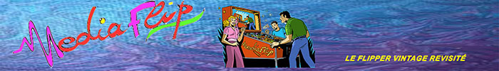 mediaflip.fr